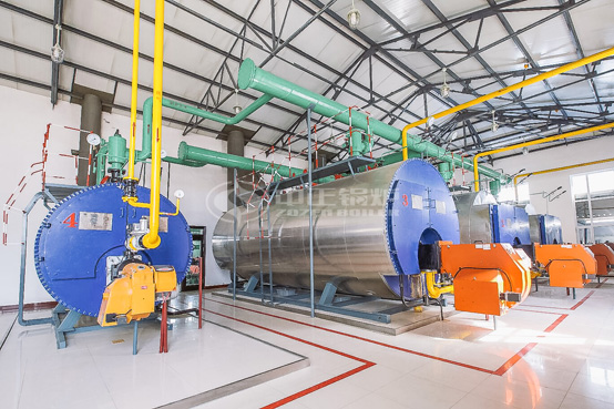 6噸WNS冷凝式燃氣蒸汽鍋爐項目-濟仁藥業