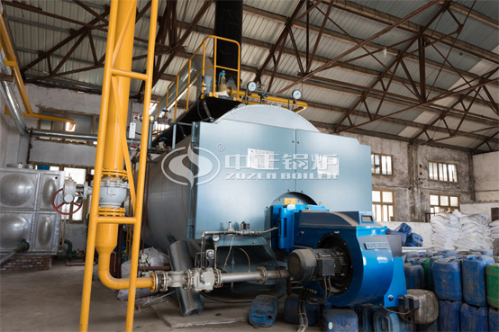 10噸WNS系列冷凝式燃氣蒸汽鍋爐項目