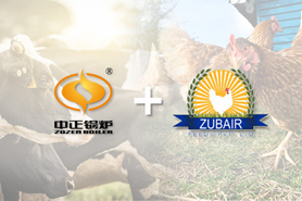 中正鍋爐海外市場布局再升級 成功助力巴基斯坦飼料行業高速發展